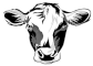 Logo BifeSL